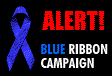 Electronic Frontier Foundation Free Speech Online Blue Ribbon Campaign